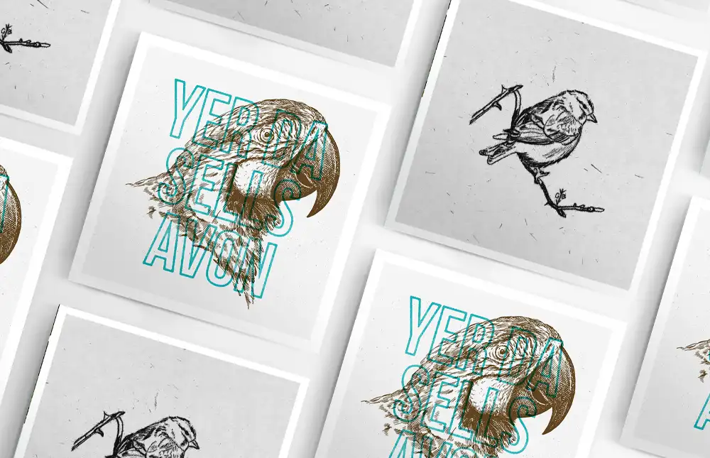 Tweetz bird drawings Tweetz bird drawings